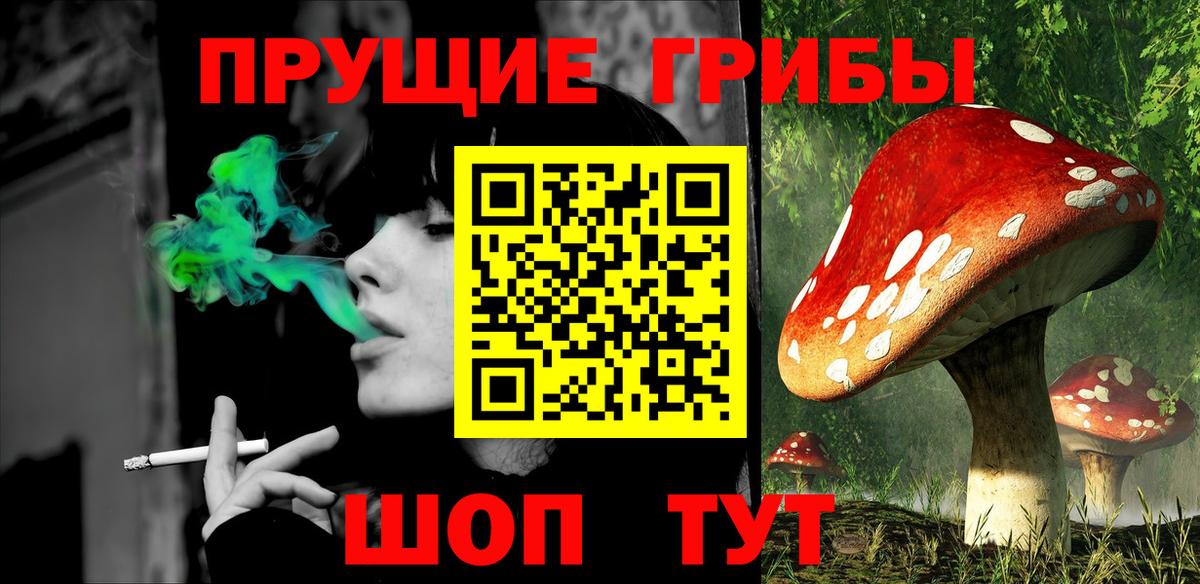 Галлюциногенные грибы Cubensis  Вход с VPN  Псилоцибиновые грибы Cubensis  Дзержинск 